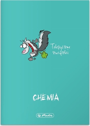 Attēls no Herlitz Zeszyt A5/60K kratka Eco* PP Chemia (5szt)