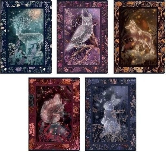 Picture of Zeszyt A5/60K linia Fairytale (10szt) TOP2000