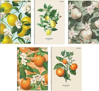 Picture of Zeszyt A5/60K linia Summer (10szt) TOP2000