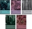 Picture of Zeszyt A5/96K kratka Botany (5szt) TOP2000