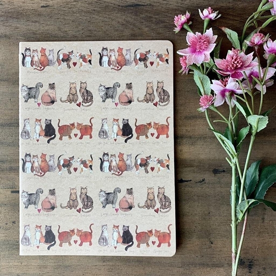 Изображение Zeszyt B5/40K linia SNL02 Kocia mio