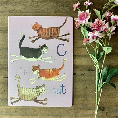 Picture of Zeszyt B5/40K linia SNL05 Koty