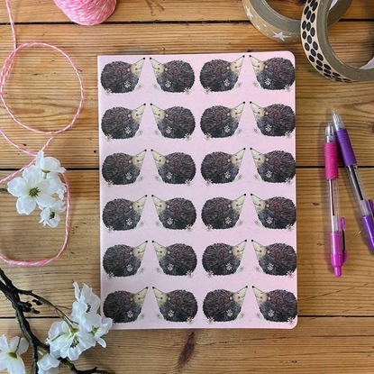 Picture of Zeszyt B5/40K linia SNL15 Szczliwe jee