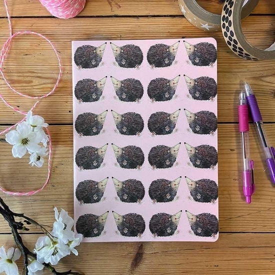 Picture of Zeszyt B5/40K linia SNL15 Szczliwe jee