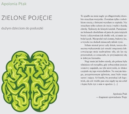 Attēls no Zielone pojcie. Duym dzieciom do poduszki