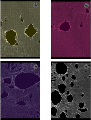 Изображение Ziemia Obiecana Zeszyt A5/80K kratka Tear (5szt)