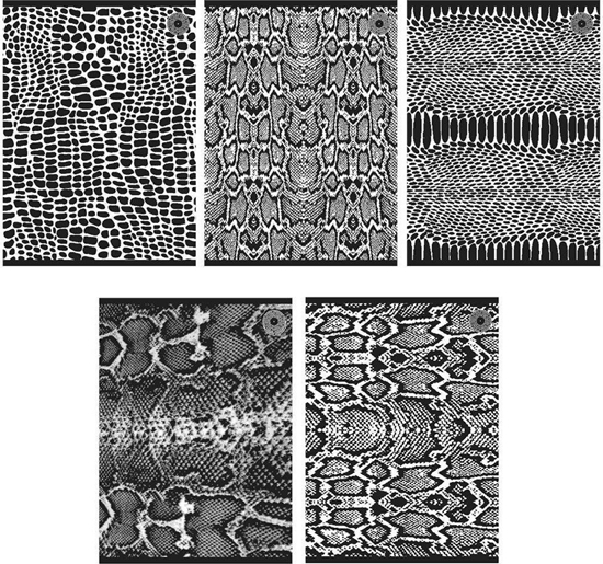 Picture of Ziemia Obiecana Zeszyt A5/80K linia Snakes 1 (5szt)