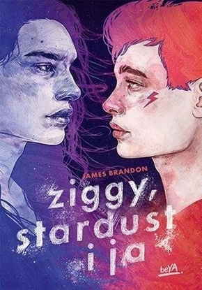 Picture of Ziggy, Stardust i ja