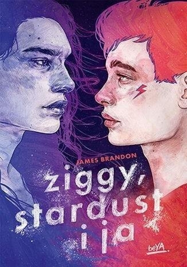 Picture of Ziggy, Stardust i ja