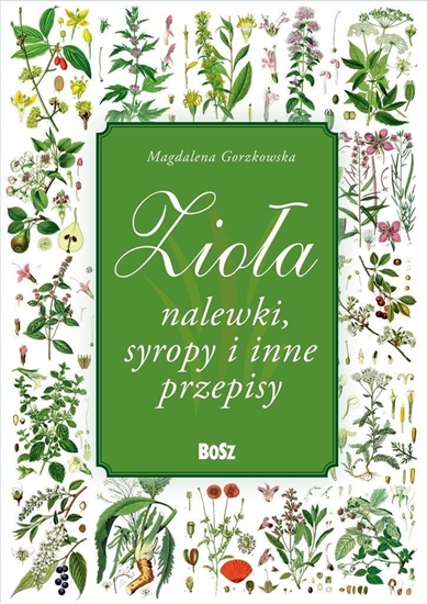 Изображение Zioa i nalewki