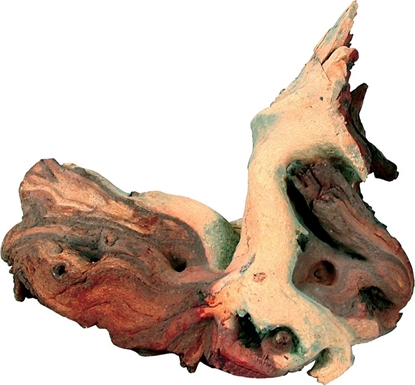 Изображение ZOLUX Ozdoba do akwarium korze Mopani may