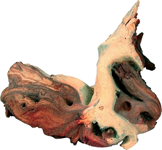 Изображение ZOLUX Ozdoba do akwarium korze Mopani may