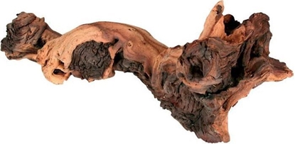 Picture of Zolux ZOLUX Naturalna dekoracja korzen maupani L - Do akwarium