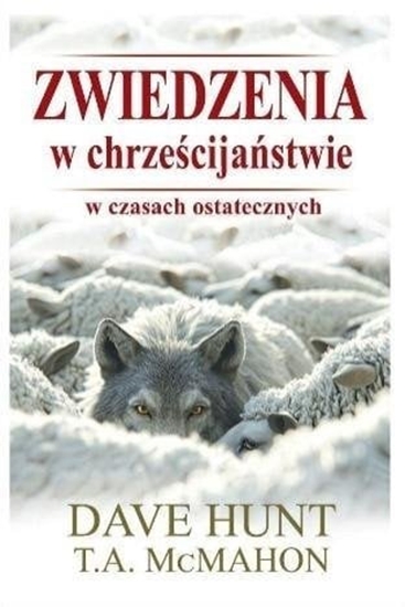 Picture of Zwiedzenia w chrzecijastwie w czasach...