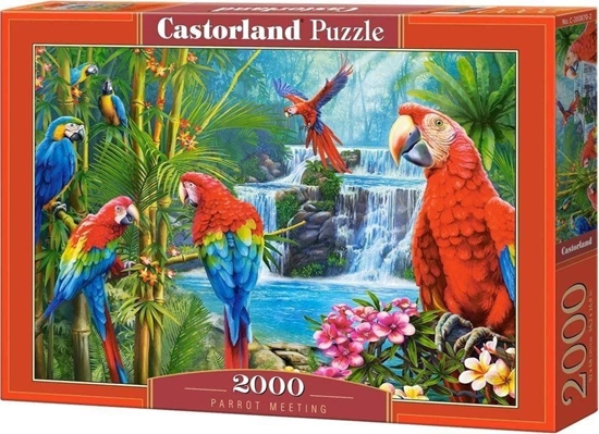 Picture of Castorland Puzzle Parrot Meeting 2000 elementów