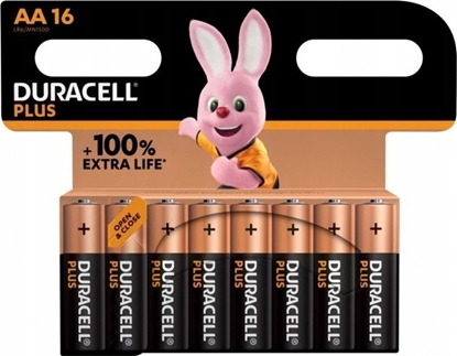 Изображение Duracell Plus 100 Single-Use Battery