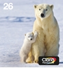 Picture of Epson Polar bear Multipack 4-colours 26 EasyMail