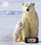 Attēls no Epson Polar bear Multipack 4-colours 26 EasyMail