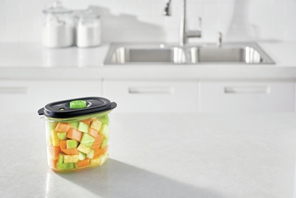 Picture of FoodSaver Vacuum container FFC023X