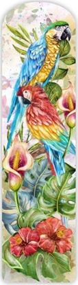 Изображение HENRY Zakadka tradycyjna Ptaki tropikalne