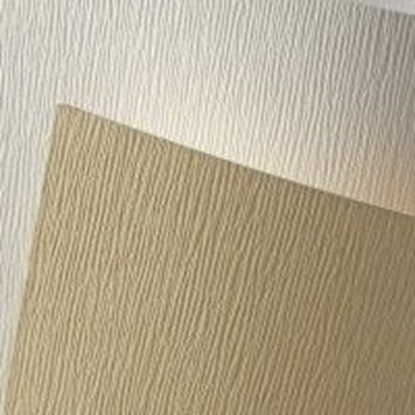 Attēls no Herlitz KARTON OZDOBNY KORA A4 BIAY 230 G/M2