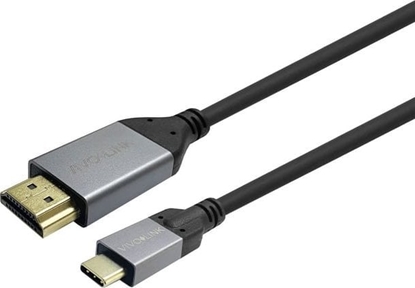 Attēls no Kabel USB VivoLink USB-C - HDMI 3 m Czarny (PROUSBCHDMIMM3)
