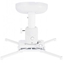 Picture of MB PROJECTOR CEILING MOUNT 200