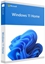 Attēls no Microsoft Windows 11 Home ENG Intl USB FPP Retail