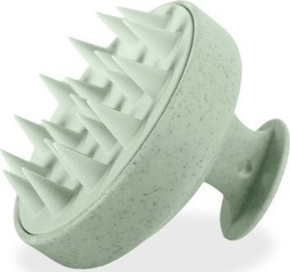 Picture of MOHANI_Szczotka do mycia wosów i masau gowy Zielona