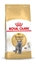 Attēls no Royal Canin British Shorthair Adult cats dry food 4 kg