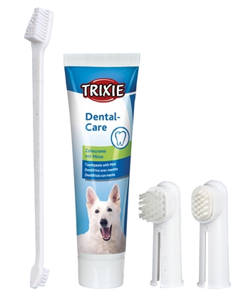 Изображение TRIXIE 2561 pet oral care treatment product
