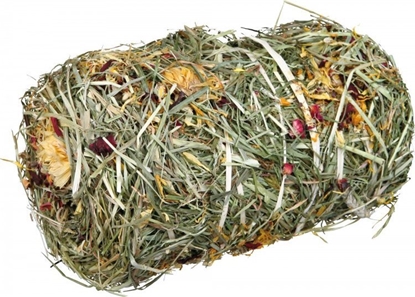 Attēls no Trixie Siano dla królika 200g (TX-60784)