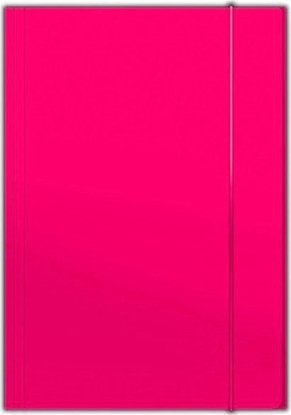 Picture of Barbara TECZKA KARTONOWA Z GUMK A4 300 G/M2, RÓOWY