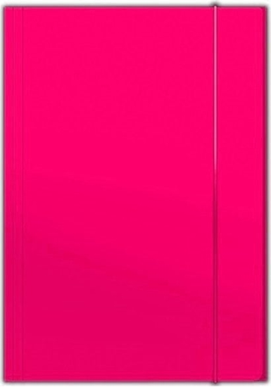 Picture of Barbara TECZKA KARTONOWA Z GUMK A4 300 G/M2, RÓOWY