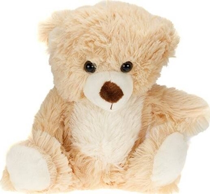 Picture of Carmotion Maskotka Teddy Pets, Mi, beowy