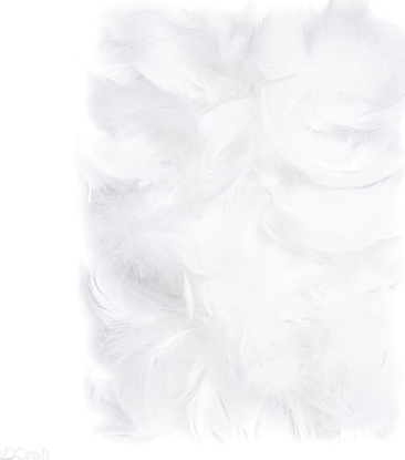 Attēls no Dalprint Piórka DPCRAFT 5-12cm 10g White Dalprint