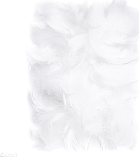 Picture of Dalprint Piórka DPCRAFT 5-12cm 10g White Dalprint