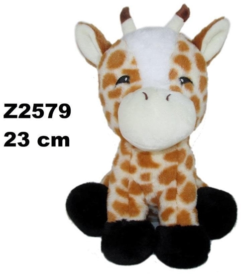 Изображение yrafa 23cm