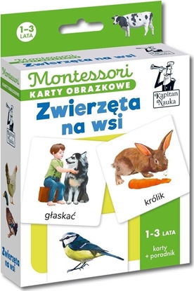 Picture of Kapitan Nauka Montessori Karty obrazkowe Zwierzta 1- lata