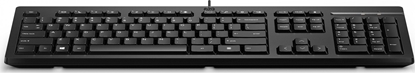 Picture of Klawiatura HP 125 (266C9AA#ABD)