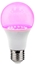 Picture of Light Bulb|VISIONAL|Power consumption 12 Watts|AC 220-240V|Beam angle 270 degrees|TL-A-12W