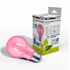 Изображение Light Bulb|VISIONAL|Power consumption 8 Watts|Beam angle 360 degrees|04-219