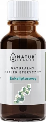 Picture of NATUR PLANET_Olejek eteryczny Eukaliptus 10ml