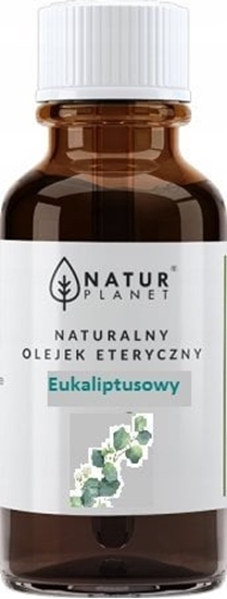 Picture of NATUR PLANET_Olejek eteryczny Eukaliptus 10ml