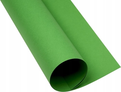 Изображение Oxford Karton Oxford A3 160g zielony (25), ZIELONY