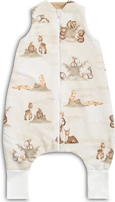 Attēls no PIWOREK DO SPANIA XL ZAGAJNIK BRZOWY TOG 1.0