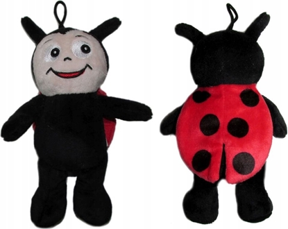 Picture of Sun-Day Biedronka B-166 168528