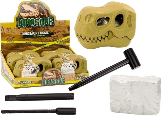 Picture of Zestaw Wykopalisk Archeologiczny Dinozaury Skamieniaoci Czaszka LEAN TOYS