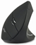 Изображение Acer HP.EXPBG.009 RF Vertical Wireless mouse