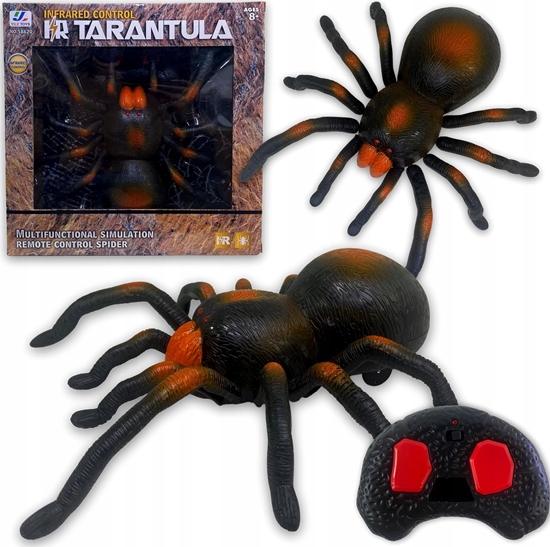 Picture of Adar Pajk Tarntula na radio 525115